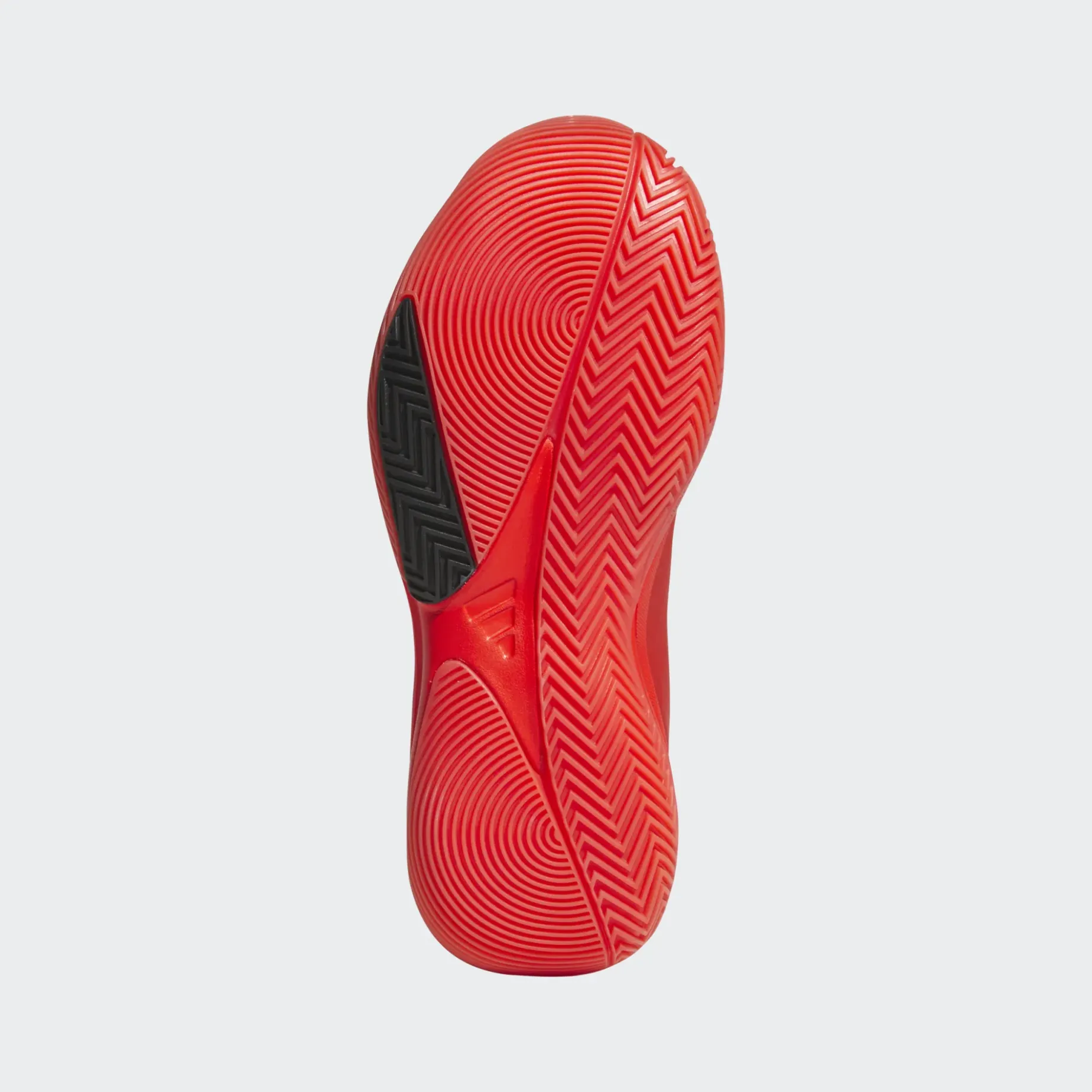 ADIDAS Front Court Shoes