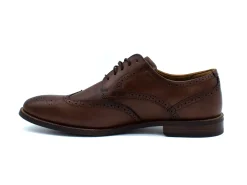 FLORSHEIM Rucci Wingtip Oxford