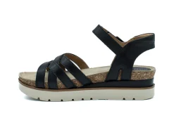JOSEF SEIBEL Clea 14