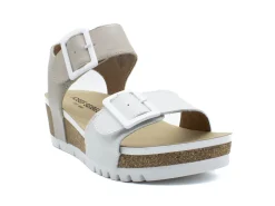 JOSEF SEIBEL Quinn 02