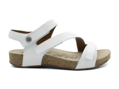 JOSEF SEIBEL Tonga 25