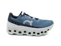 ON Cloudmonster
