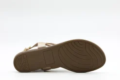 Taxi Rosa 01